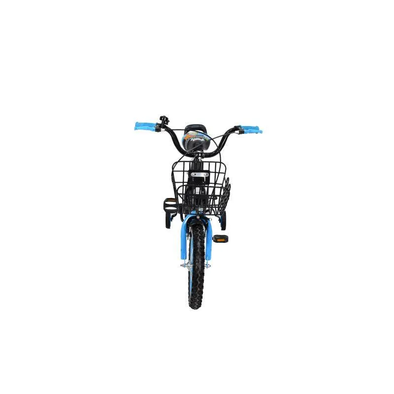 Amla 14-inch Bicycle for Kids - B07-14