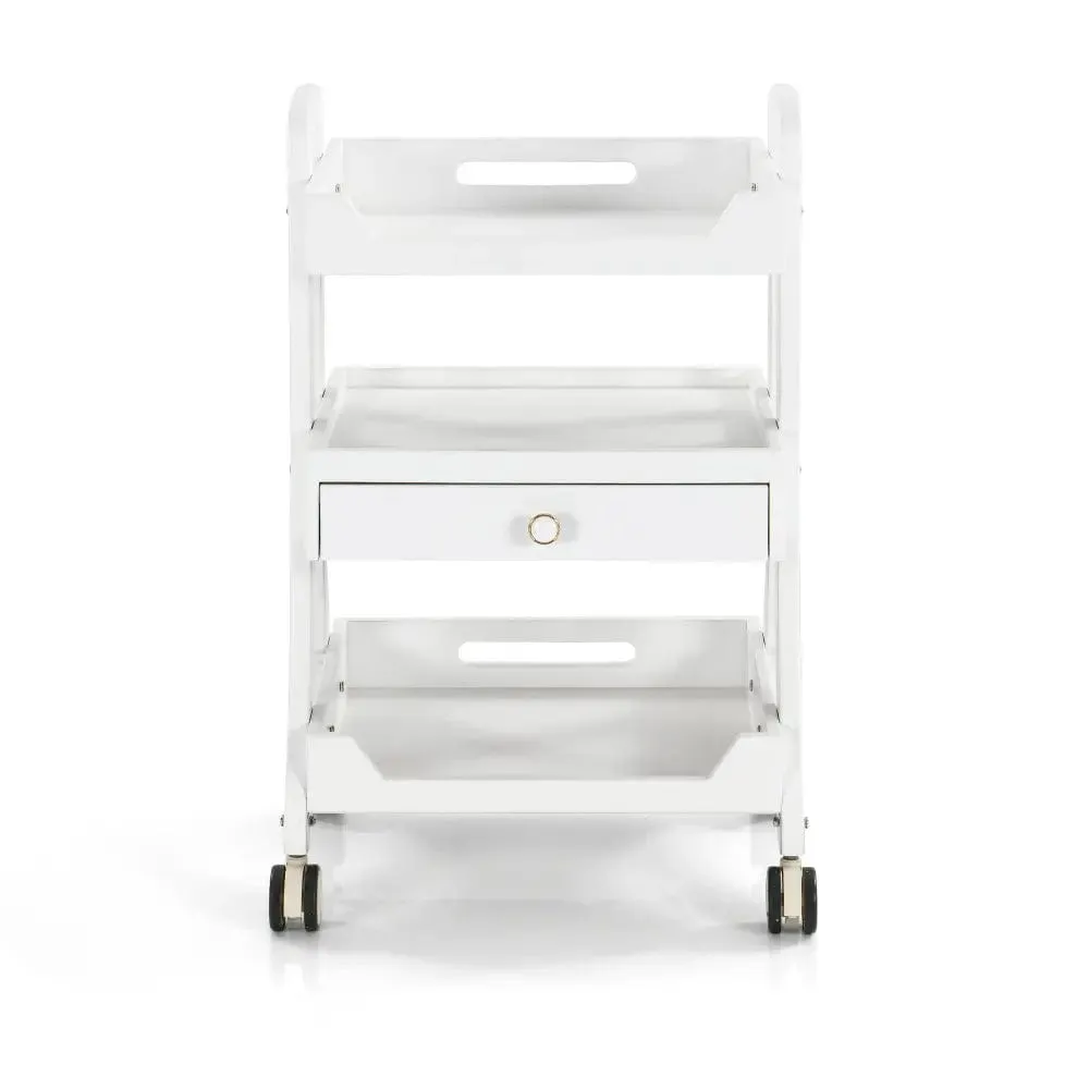 Beauty Salon Trolley OY005 White With one drawer
